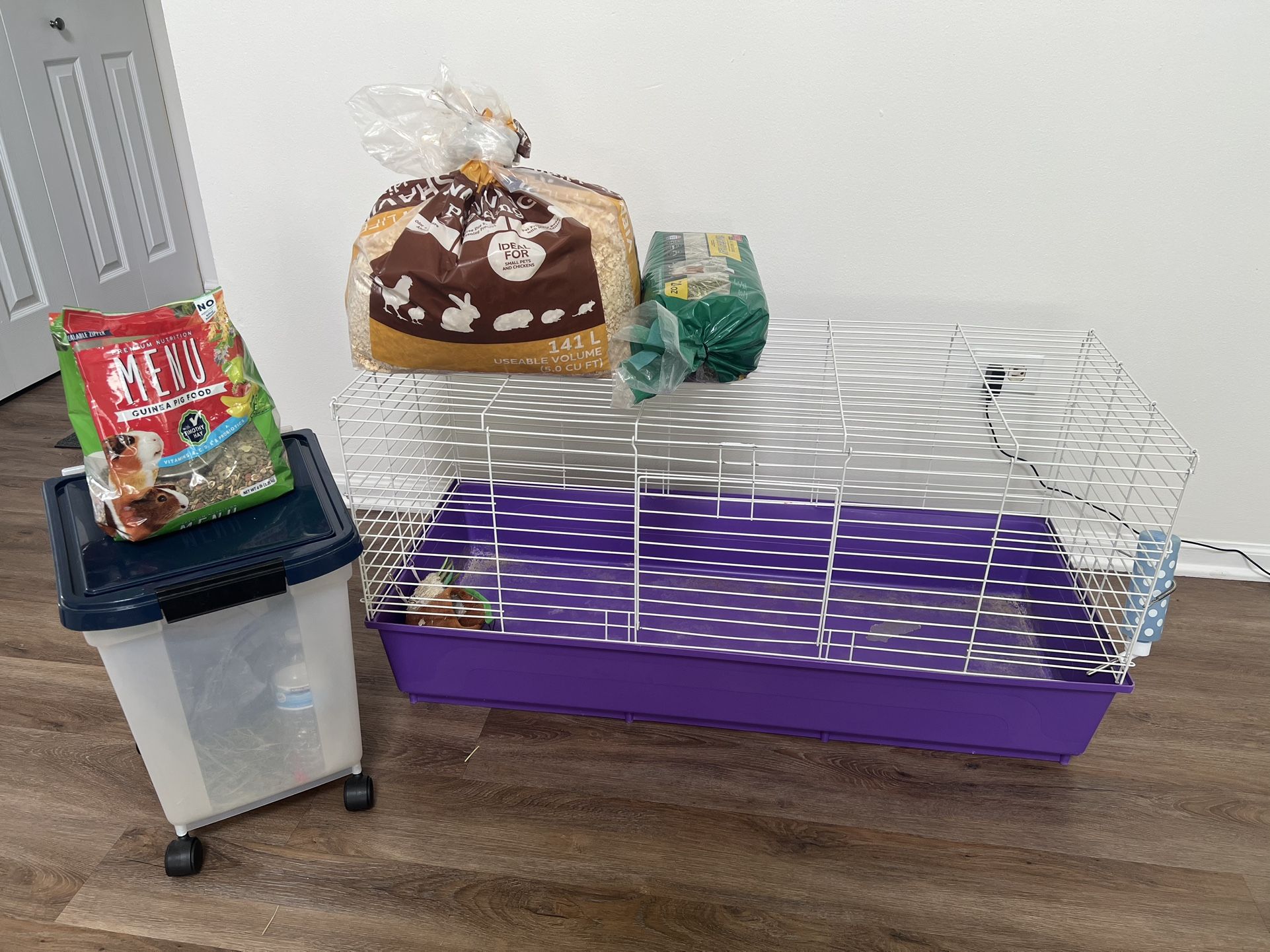 Guinea Pig Stuff