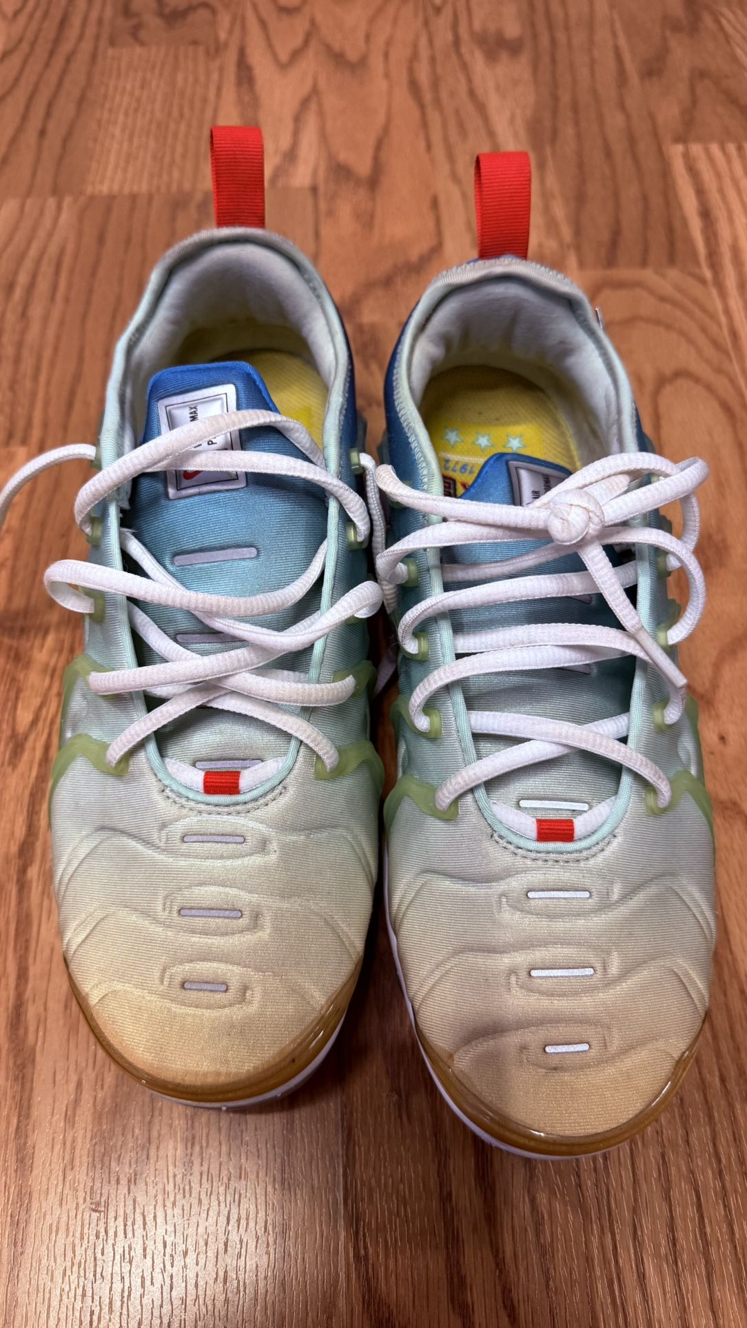 Nike Air VaporMax Plus “Since 1972” – Men’s Size 9.5 (EU 41) 💰 Price: $100 (or best offer)