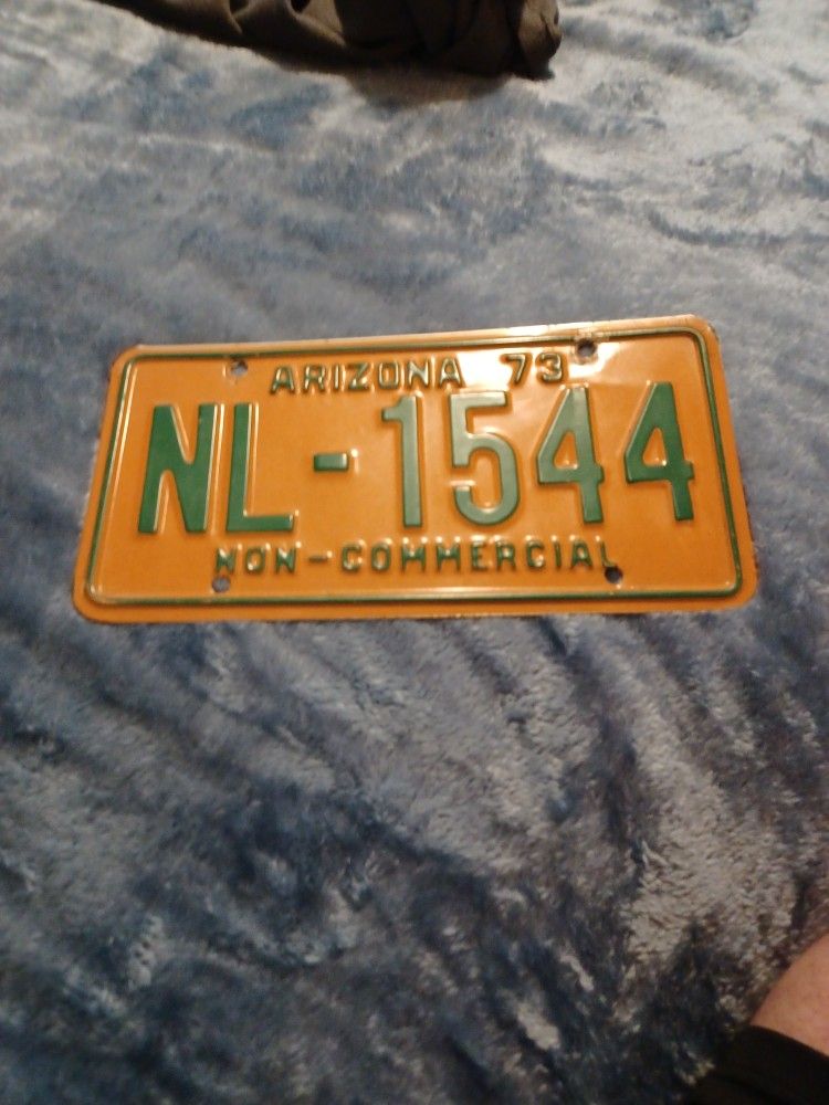 1973 ARIZONA LICENSE PLATE 