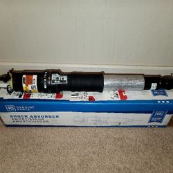 GM Rear Air Lift Shocks