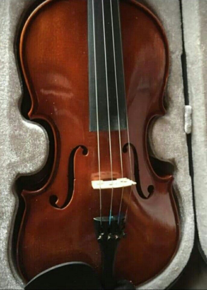 Violin Antonius stradivarius