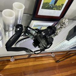 Panasonic LUMIX Fz 300 4k Cámara 