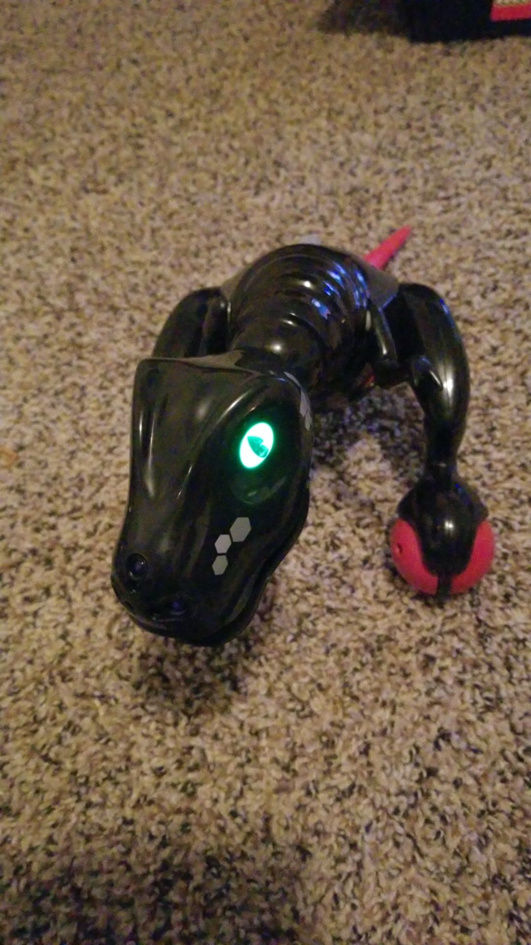Zoomer Raptor