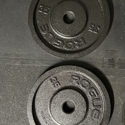 Rogue Deep Dish Plates 