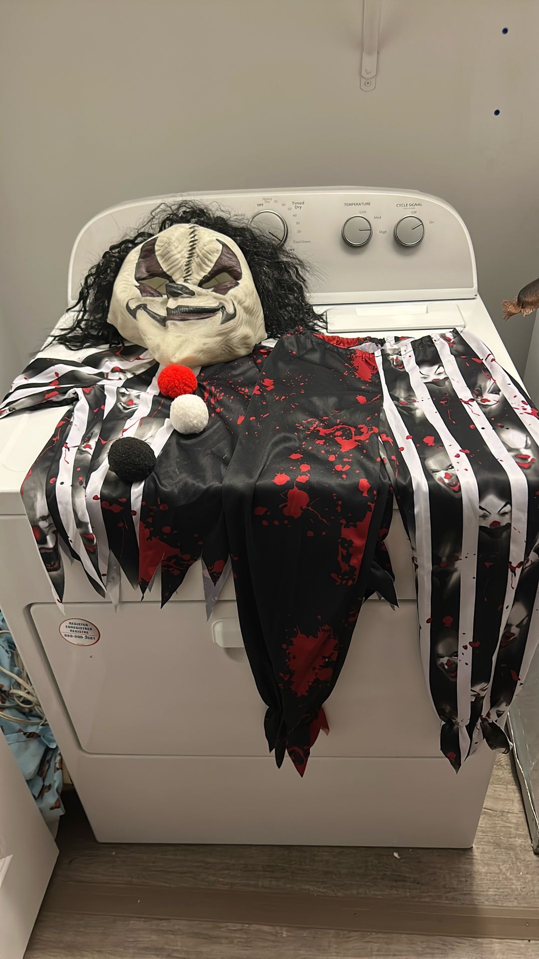 Scary Clown Costume (kids)