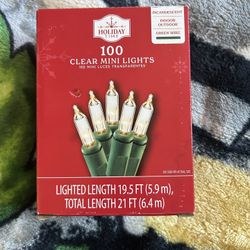 Christmas Mini Lights 