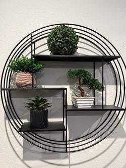 Circular Black Metal Wall Shelf with Plant Decor
