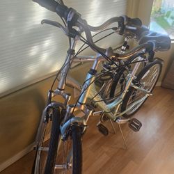 Schwinn SIERRA GS Mountain /Comfort (Male/Female)