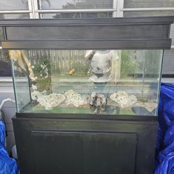 Fish Tank