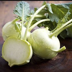 NON-GMO Heirloom Seeds kohlrabi white vienna seeds Organic