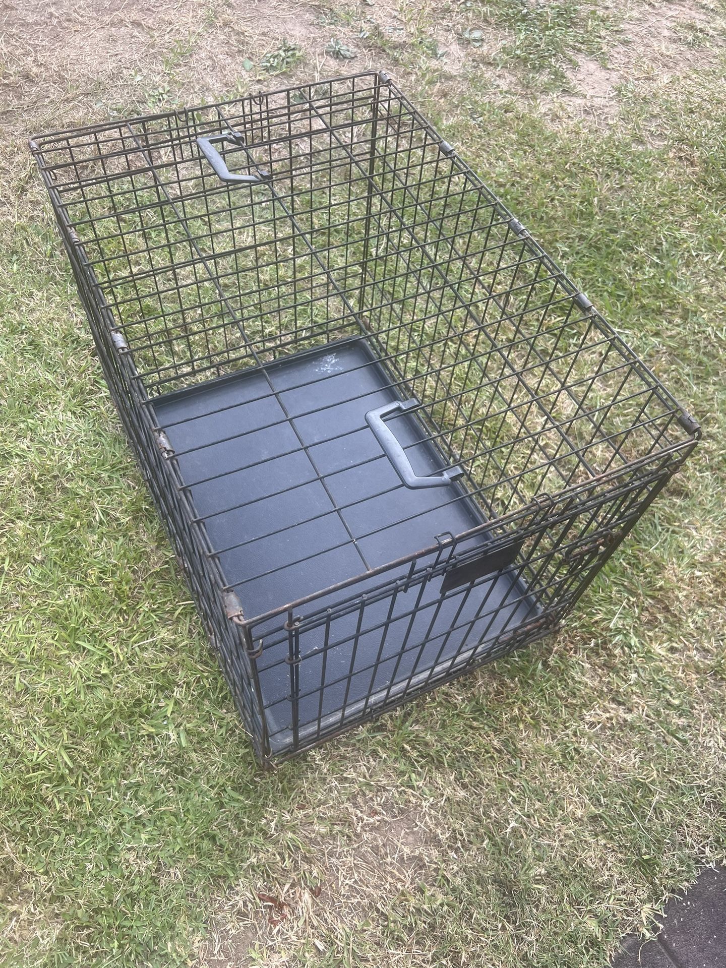 Dog Kennel