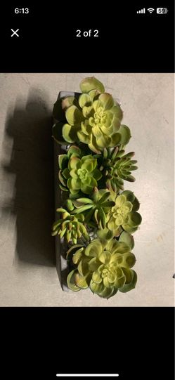 Two fake plants decor make a offer