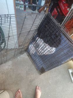 Large dog kennel