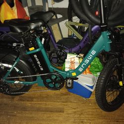 Ebike Ewegen 750 Rear Motor