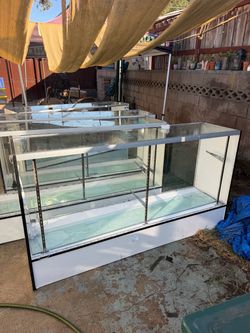 Glass Display Case with Shelves