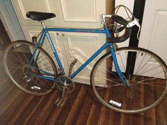 18 in frame size Raleigh bike.