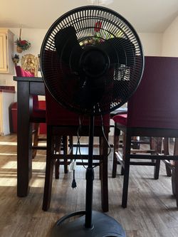 Fans