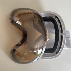 Dragon Snowboard/Ski Goggles (Women’s Size Small)