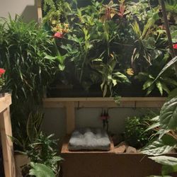 PLANT WALL
