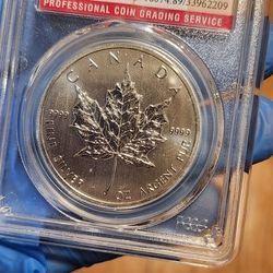 Silver Coin 