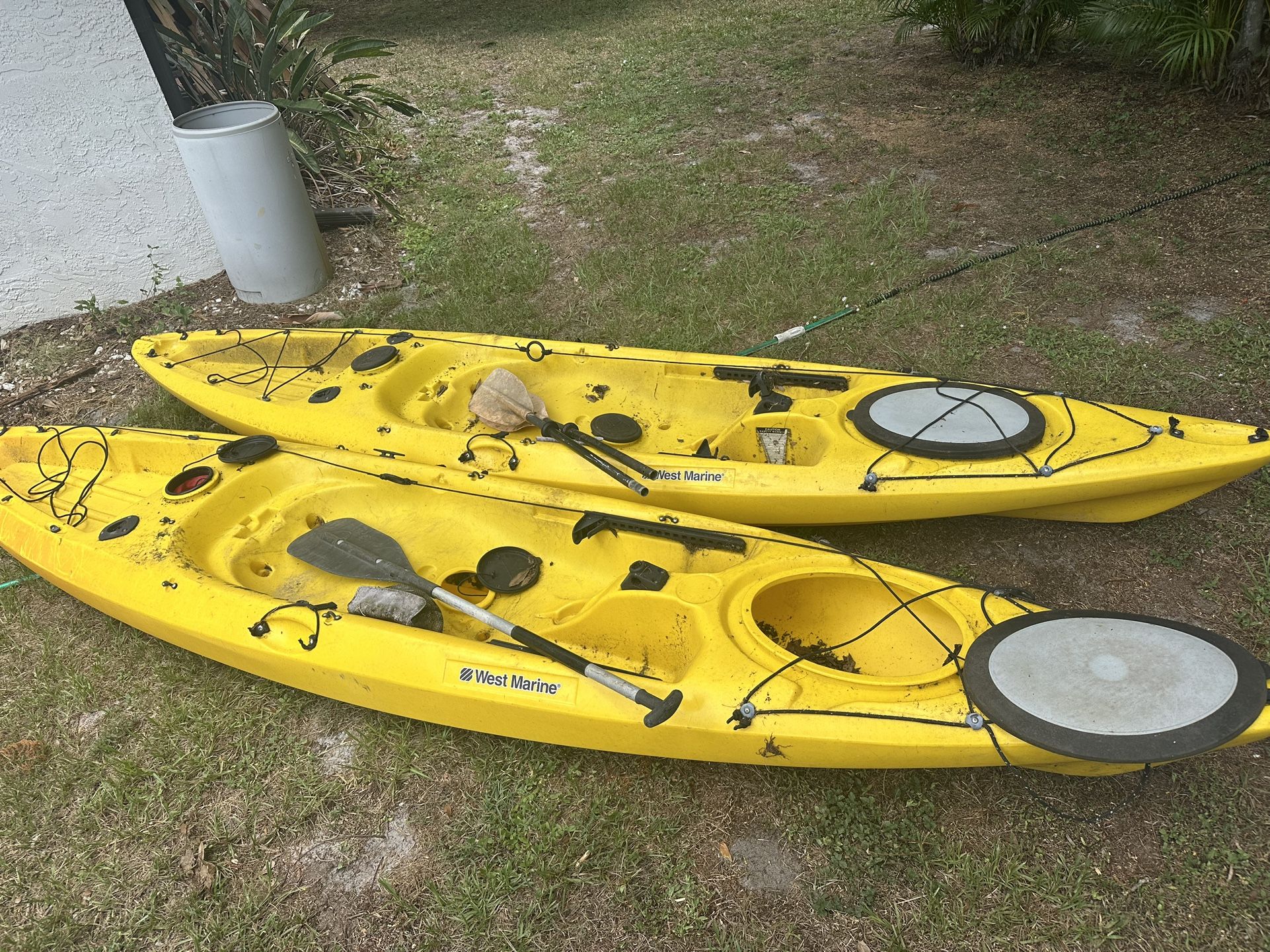 Kayak