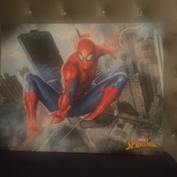 Spider Man Canvas Print