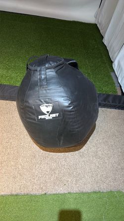 PROLAST Punching Bag / Wrecking Ball – $100 OBO
