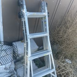 Ladder