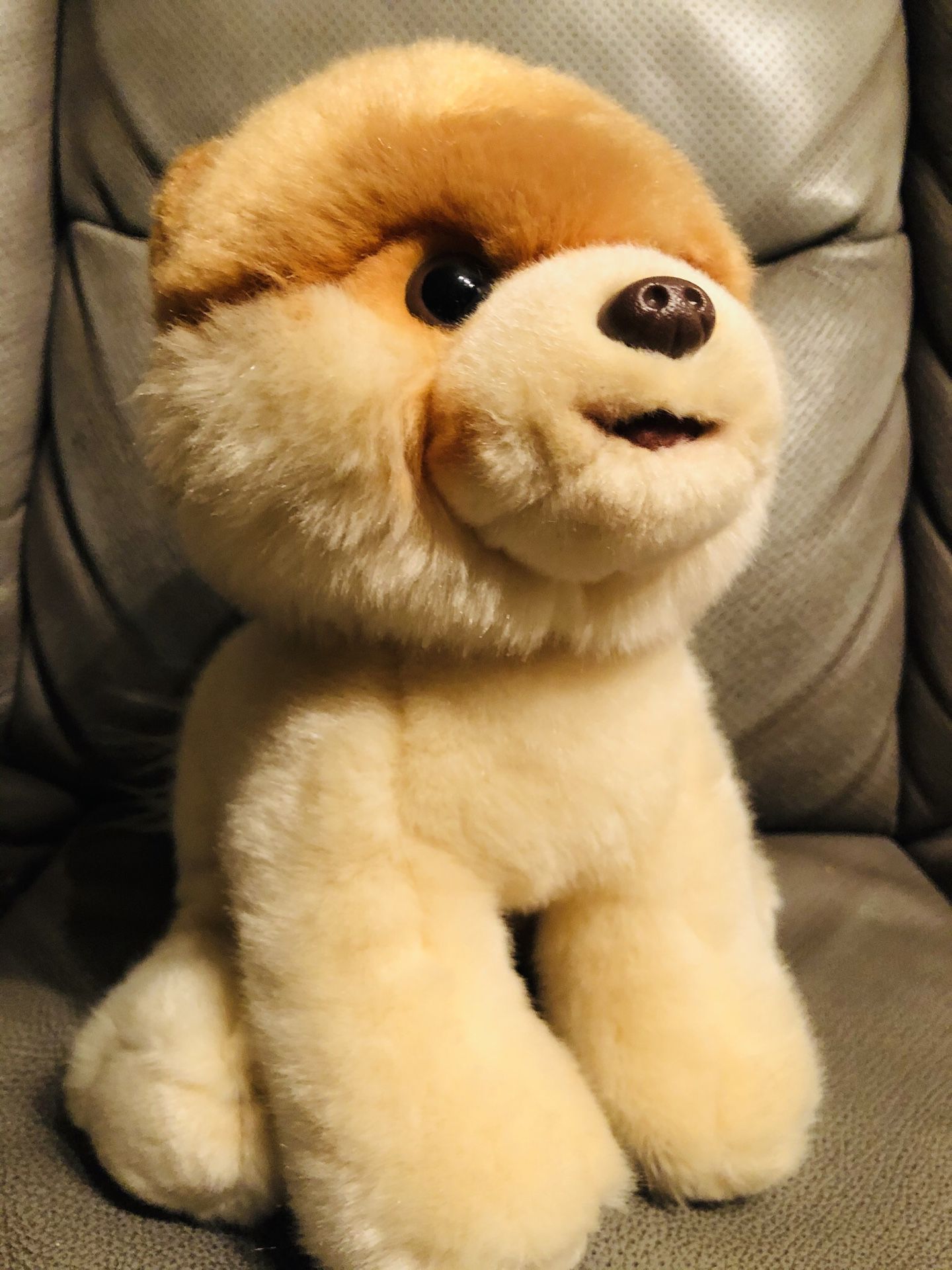 Cutest Dog Plush Toy