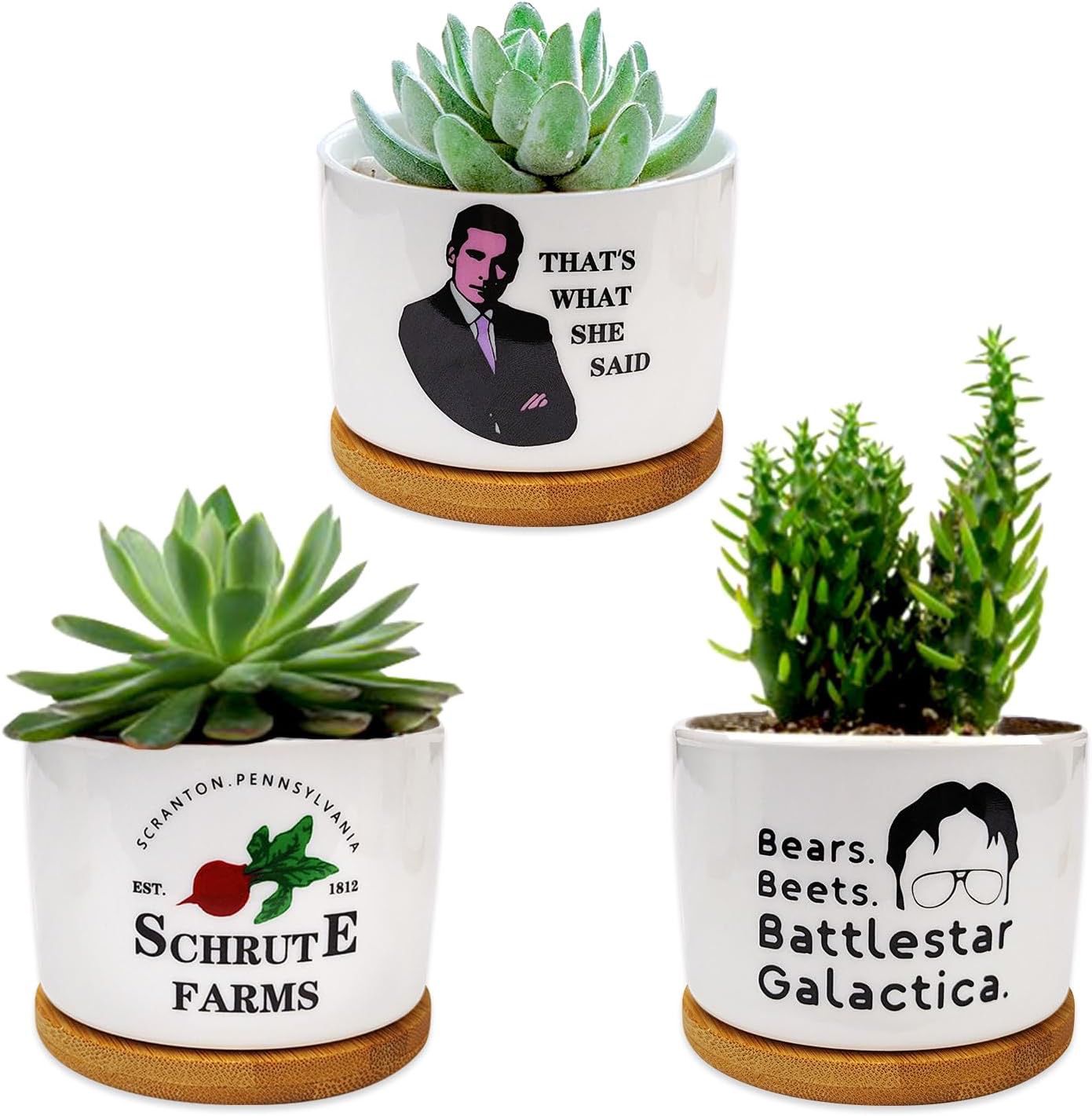 3Pack The Office Succulent Pots 3.15 Inch Ceramic Planter Pots with Bamboo Tray with Drainage,The Office Merchandis TV Show Gifts Our Flower Pots are 