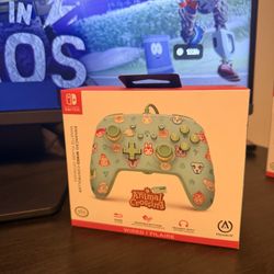Nintendo Switch Animal Crossing Controller 