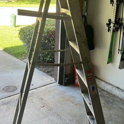 Werner 6’ Ladder