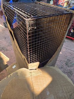 NEW DOG TRAP. LARGE