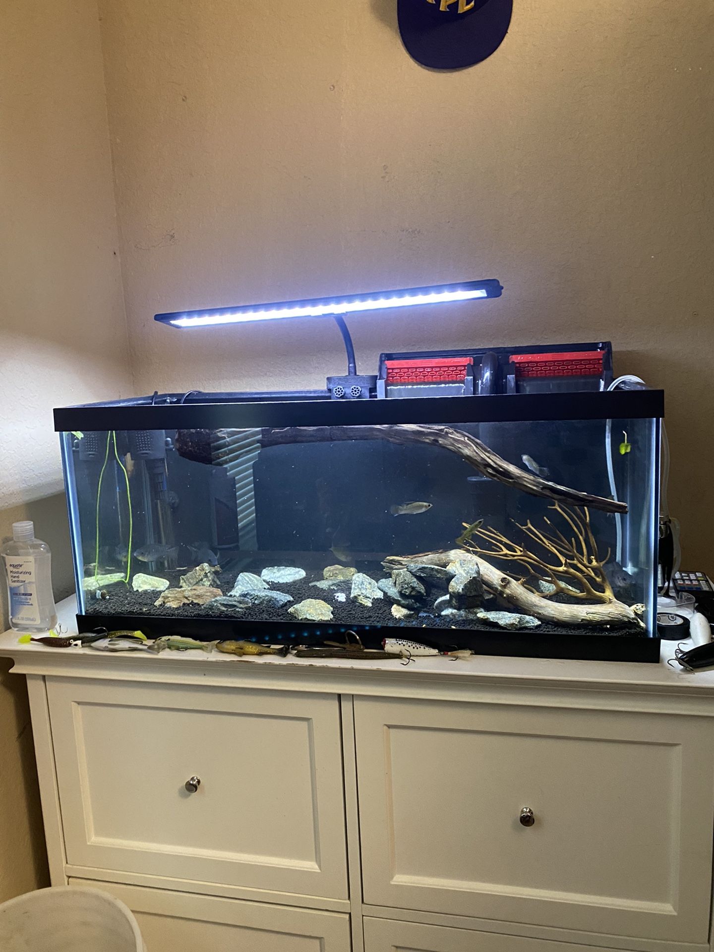 20 Gal Freshwater Planted Tank