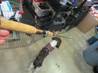 Used Custom Built For John M Horath 9' Fishing Rod-63825-38