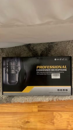 professional condenser microphone