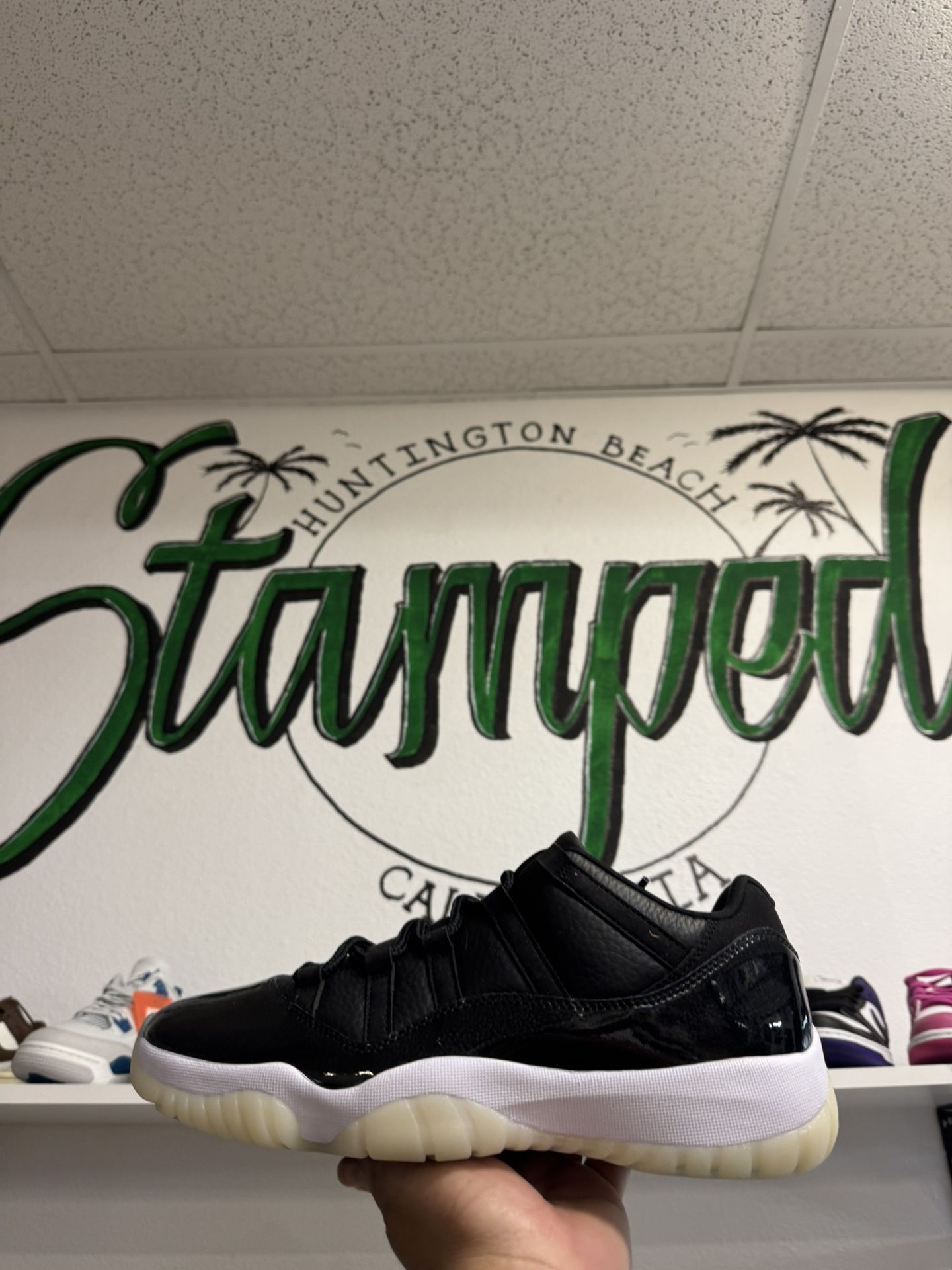 Jordan 11 Low 72-10