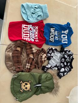 Dog clothes