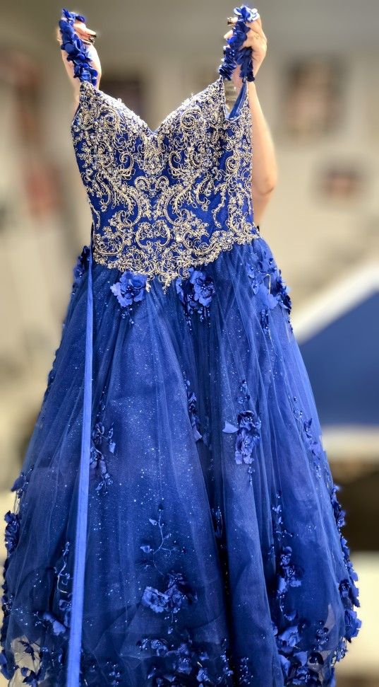 QuinceaƱera Dress/Sweet 16 Dress