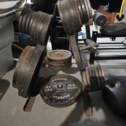 Standard Barbell Weights 