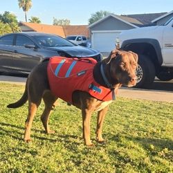 Dog Life Jacket - LARGE