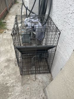 Dog cage medium dog