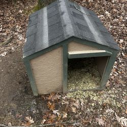 Dog House 