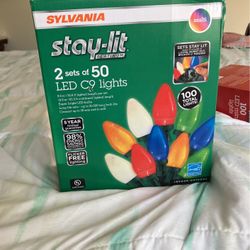 Holiday Light 2 Sets Of 50 100 Total LED Light New In Pack