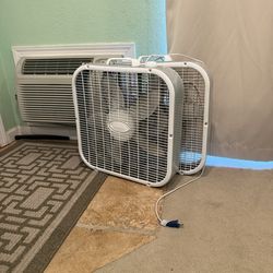 Fan