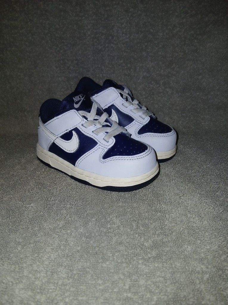 Toddler Nike Dunks Size 6c