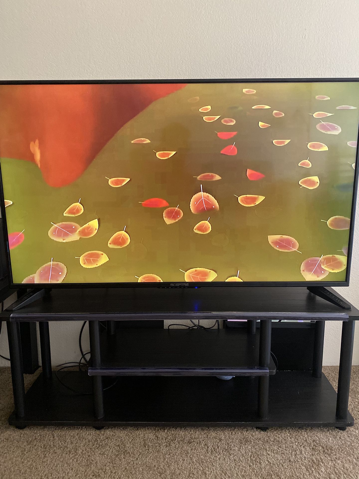 Sceptre 50"TV ($100) and Tv Stand($30)