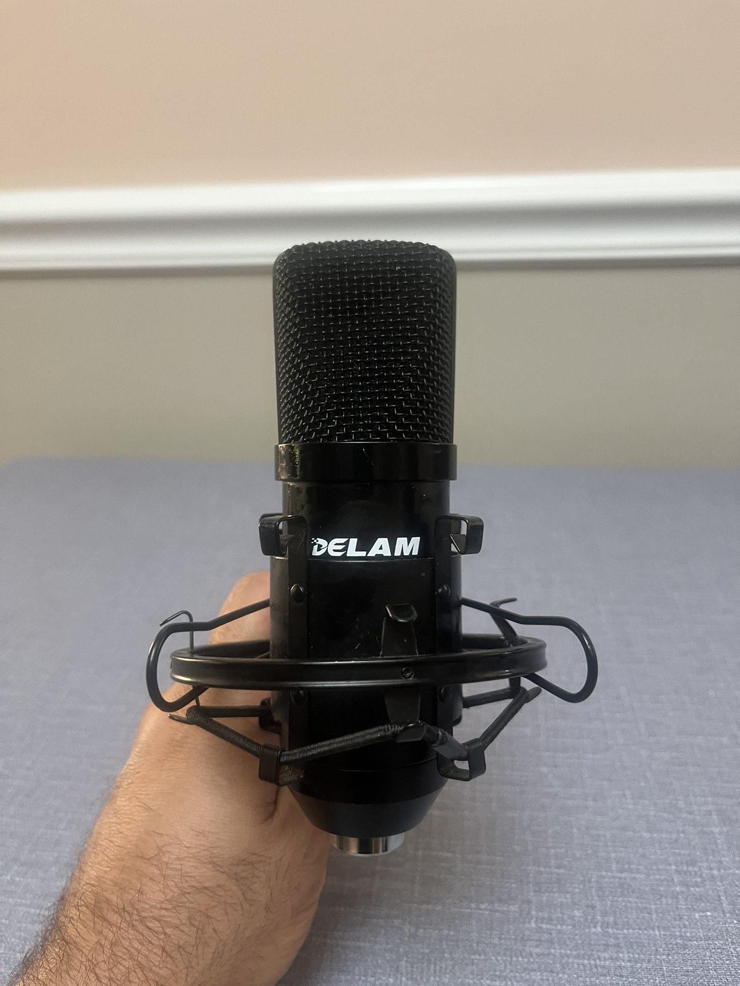 Delam USB Condenser Microphone