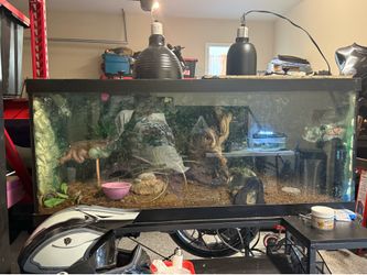 75 gallon reptile enclosure. With light fixtures and watering system