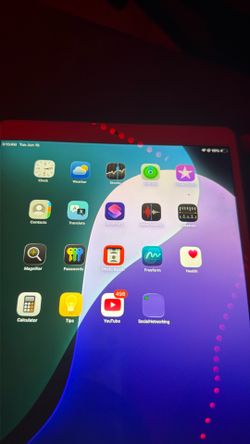 iPad
